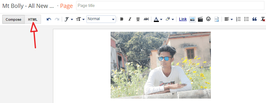how to add author box in blogger blog